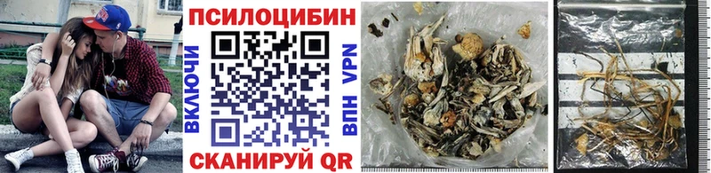 Галлюциногенные грибы GOLDEN TEACHER Осташков